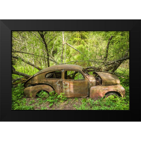 Sweden-Varmland-Bastnas-Bastnas Car Cemetery public park-antique car junkyard Black Modern Wood Framed Art Print by Bibikow, Walter