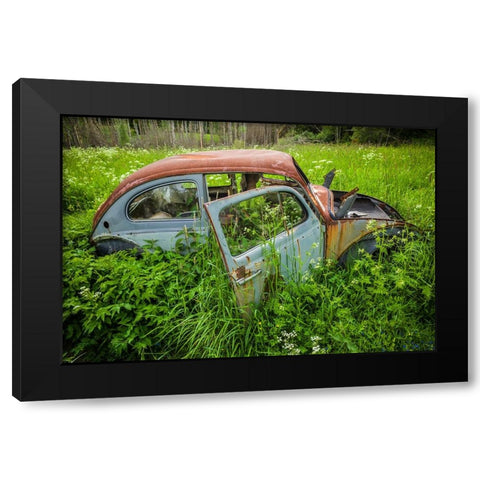 Sweden-Varmland-Bastnas-Bastnas Car Cemetery public park-antique car junkyard Black Modern Wood Framed Art Print by Bibikow, Walter