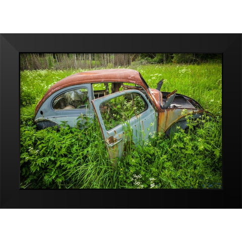 Sweden-Varmland-Bastnas-Bastnas Car Cemetery public park-antique car junkyard Black Modern Wood Framed Art Print by Bibikow, Walter