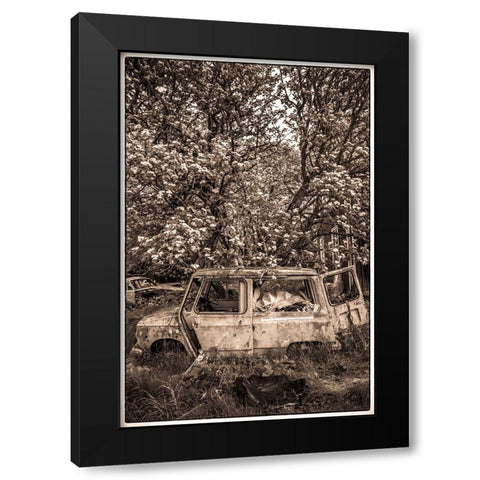 Sweden-Varmland-Bastnas-Bastnas Car Cemetery public park-antique car junkyard Black Modern Wood Framed Art Print by Bibikow, Walter