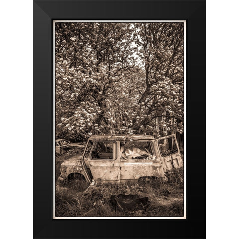 Sweden-Varmland-Bastnas-Bastnas Car Cemetery public park-antique car junkyard Black Modern Wood Framed Art Print by Bibikow, Walter