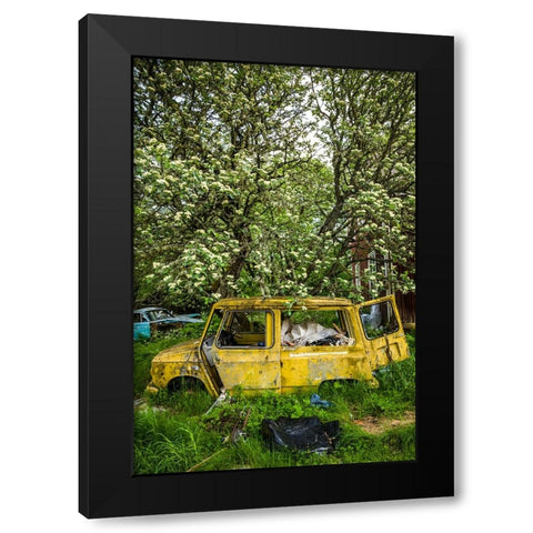 Sweden-Varmland-Bastnas-Bastnas Car Cemetery public park-antique car junkyard Black Modern Wood Framed Art Print by Bibikow, Walter