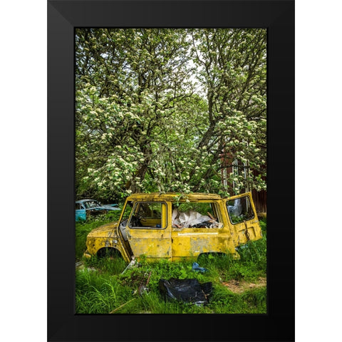 Sweden-Varmland-Bastnas-Bastnas Car Cemetery public park-antique car junkyard Black Modern Wood Framed Art Print by Bibikow, Walter
