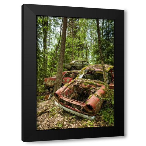 Sweden-Varmland-Bastnas-Bastnas Car Cemetery public park-antique car junkyard Black Modern Wood Framed Art Print by Bibikow, Walter