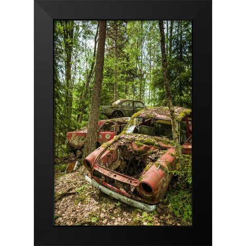 Sweden-Varmland-Bastnas-Bastnas Car Cemetery public park-antique car junkyard Black Modern Wood Framed Art Print by Bibikow, Walter