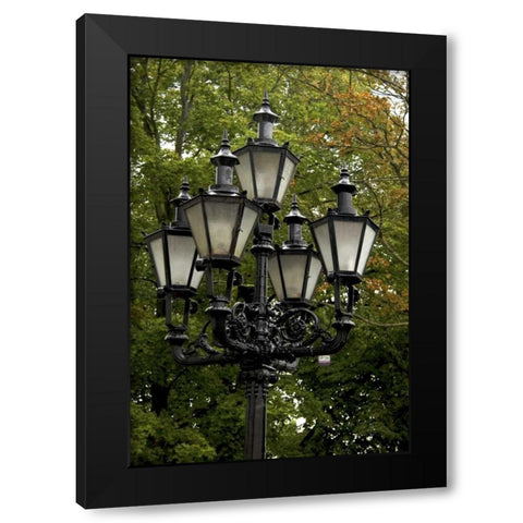 Estonia, Tallinn Street lamp detail Black Modern Wood Framed Art Print by Ross, Nancy ,  Steve