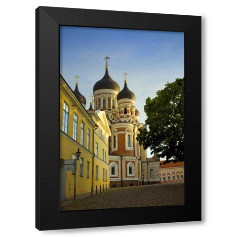 Estonia, Tallinn Alexander Nevsky Cathedral Black Modern Wood Framed Art Print with Double Matting by Zuckerman, Jim