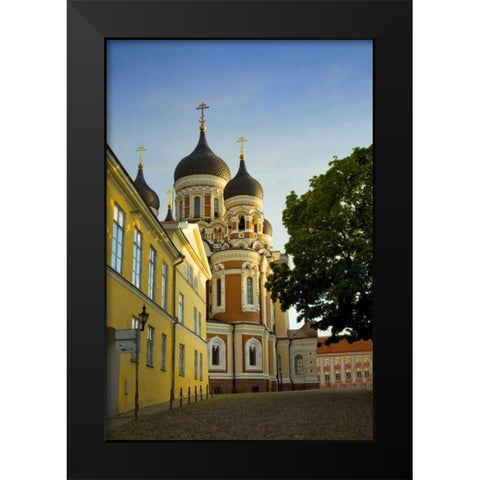 Estonia, Tallinn Alexander Nevsky Cathedral Black Modern Wood Framed Art Print by Zuckerman, Jim
