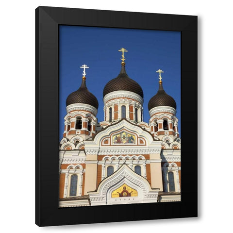 Estonia, Tallinn Alexander Nevsky Cathedral Black Modern Wood Framed Art Print by Zuckerman, Jim