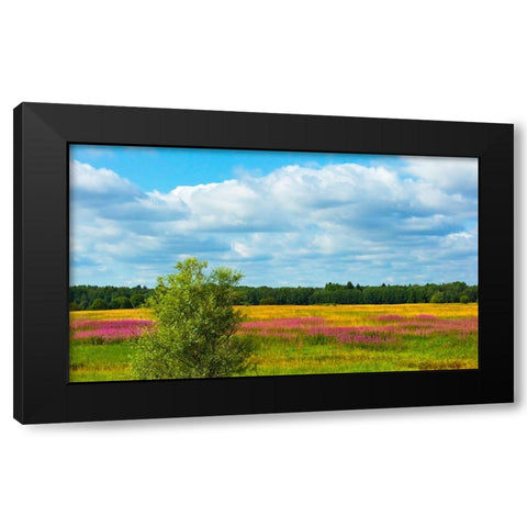 Farmland and flower fields-Estonia Black Modern Wood Framed Art Print by Su, Keren
