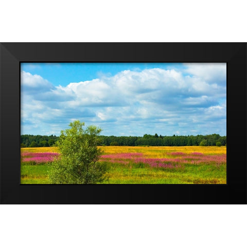 Farmland and flower fields-Estonia Black Modern Wood Framed Art Print by Su, Keren