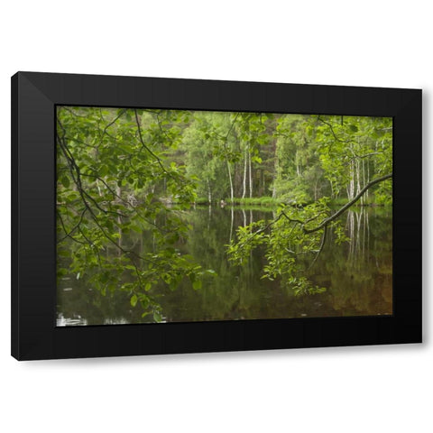 Scotland, Cairngorm NP Calm lake in forest Black Modern Wood Framed Art Print by Illg, Cathy and Gordon