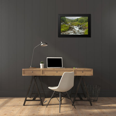 Scotland, Cairngorm NP Mountain stream cascade Black Modern Wood Framed Art Print by Illg, Cathy and Gordon