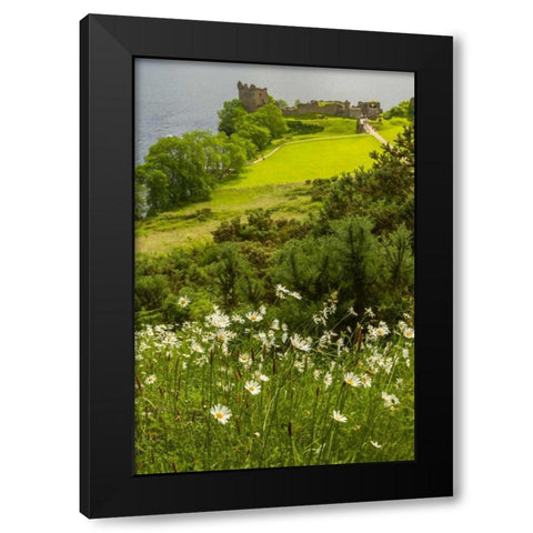 Scotland, Loch Ness Castle Urquhart ruins Black Modern Wood Framed Art Print by Illg, Cathy and Gordon