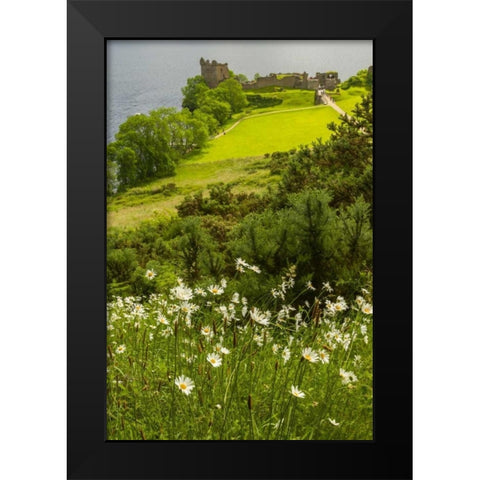 Scotland, Loch Ness Castle Urquhart ruins Black Modern Wood Framed Art Print by Illg, Cathy and Gordon