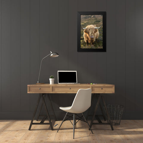 Scotland-The Isle of Skye Close-up of highland cow Black Modern Wood Framed Art Print by Jaynes Gallery