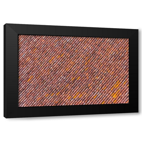 Red tile roof of Turaida Castle-Turaida-Latvia Black Modern Wood Framed Art Print with Double Matting by Su, Keren
