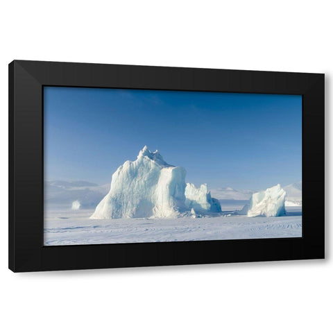 Icebergs frozen into the sea ice of the Uummannaq Fjord System during winter  Black Modern Wood Framed Art Print with Double Matting by Zwick, Martin