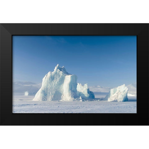 Icebergs frozen into the sea ice of the Uummannaq Fjord System during winter  Black Modern Wood Framed Art Print by Zwick, Martin