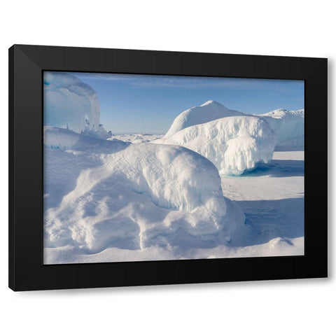 Icebergs frozen into the sea ice of the Uummannaq fjord system during winter-Greenland-Danish Terri Black Modern Wood Framed Art Print by Zwick, Martin