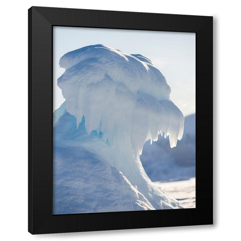 Iceberg frozen into the sea ice of the Uummannaq fjord system during winter-Greenland-Danish Territ Black Modern Wood Framed Art Print by Zwick, Martin