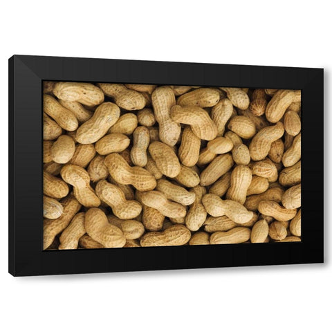 Close-up of unshelled peanuts Black Modern Wood Framed Art Print with Double Matting by Flaherty, Dennis