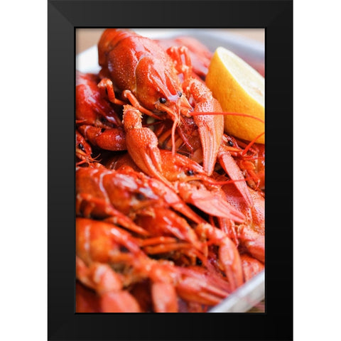 Crayfish close-up Black Modern Wood Framed Art Print by Majority World CIC