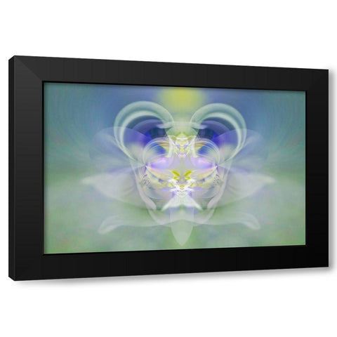 Star of Bethlehem Black Modern Wood Framed Art Print with Double Matting by Jones, Adam