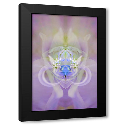 Star of Bethlehem and Iris in background Black Modern Wood Framed Art Print with Double Matting by Jones, Adam