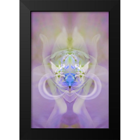 Star of Bethlehem and Iris in background Black Modern Wood Framed Art Print by Jones, Adam