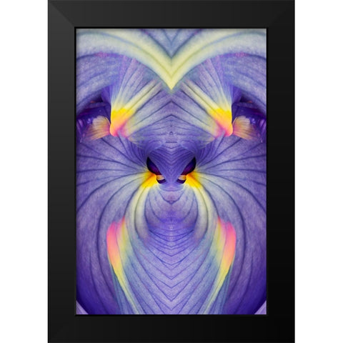 Abstract Iris flowers Black Modern Wood Framed Art Print by Jones, Adam