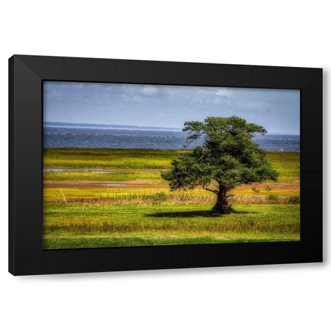 Lone Tree in Coastal Marshland Black Modern Wood Framed Art Print by Miller, Anna