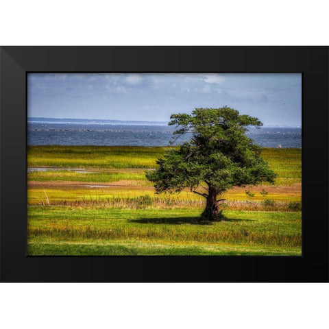 Lone Tree in Coastal Marshland Black Modern Wood Framed Art Print by Miller, Anna