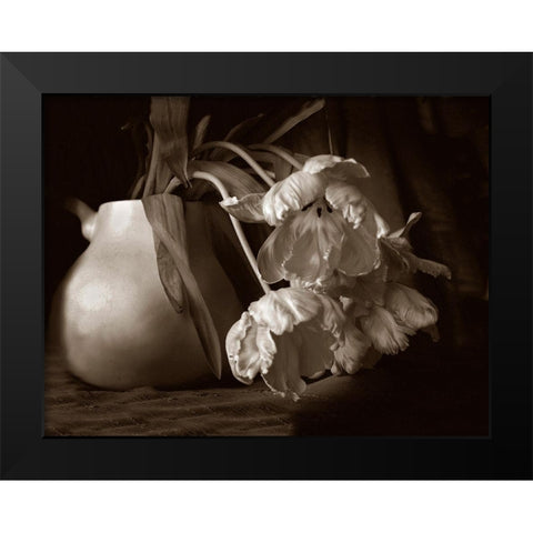 Sepia tone Tulips Black Modern Wood Framed Art Print by Miller, Anna