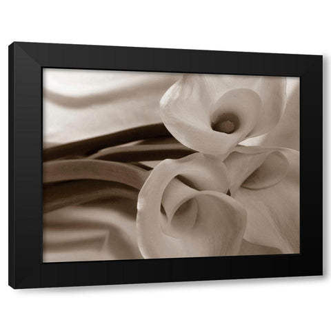Sepia tone Calla Lily Black Modern Wood Framed Art Print by Miller, Anna