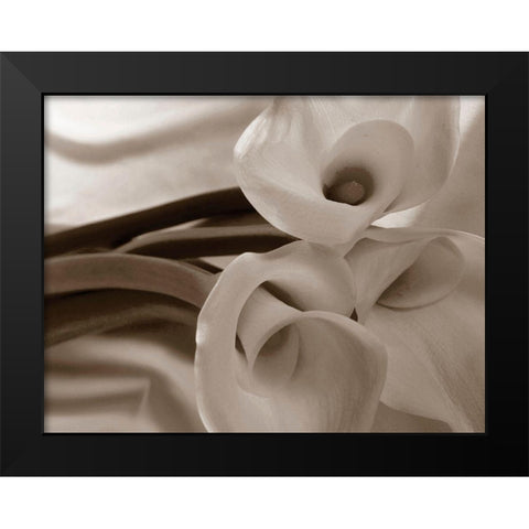 Sepia tone Calla Lily Black Modern Wood Framed Art Print by Miller, Anna