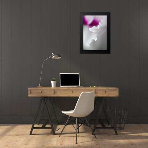 Cyclamen flower close-up Black Modern Wood Framed Art Print by Rotenberg, Nancy