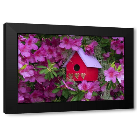 Birdhouse and Azaleas in Garden Black Modern Wood Framed Art Print by Rotenberg, Nancy