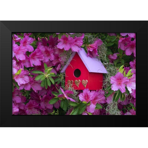Birdhouse and Azaleas in Garden Black Modern Wood Framed Art Print by Rotenberg, Nancy