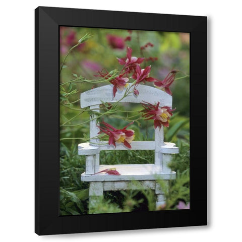 Columbine and chair in garden Black Modern Wood Framed Art Print by Rotenberg, Nancy