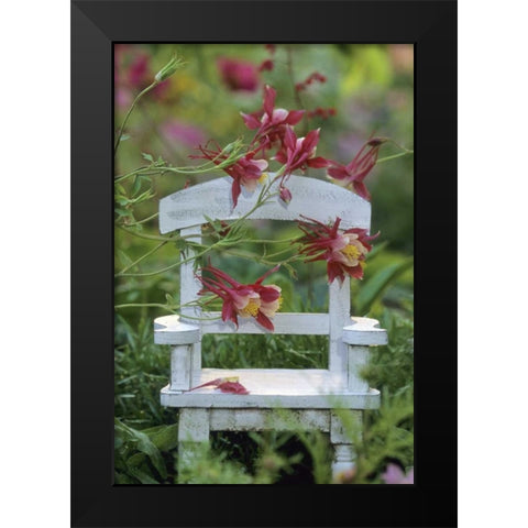 Columbine and chair in garden Black Modern Wood Framed Art Print by Rotenberg, Nancy