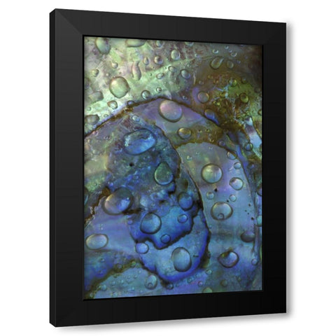 Abalone shell with water drops Black Modern Wood Framed Art Print with Double Matting by Rotenberg, Nancy