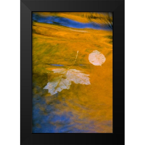 Fall reflections in water Black Modern Wood Framed Art Print by Rotenberg, Nancy