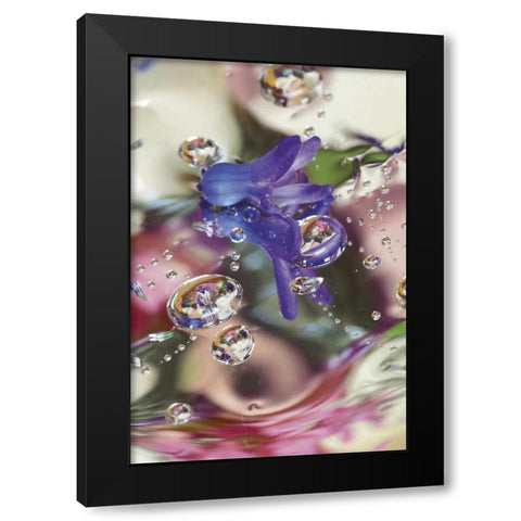 Hyacinth Bud on Mylar With Reflections Black Modern Wood Framed Art Print with Double Matting by Rotenberg, Nancy