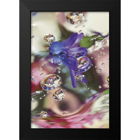 Hyacinth Bud on Mylar With Reflections Black Modern Wood Framed Art Print by Rotenberg, Nancy