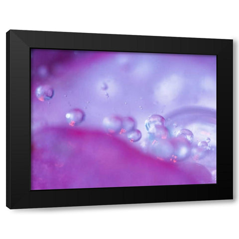 Dew drops on flower petal abstract Black Modern Wood Framed Art Print by Rotenberg, Nancy