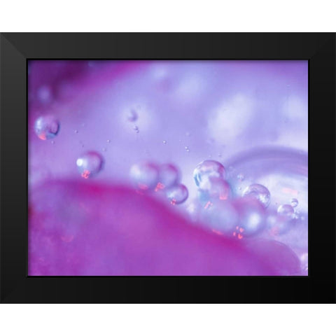 Dew drops on flower petal abstract Black Modern Wood Framed Art Print by Rotenberg, Nancy