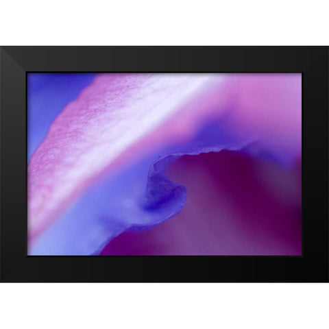 Petal Pattern Black Modern Wood Framed Art Print by Rotenberg, Nancy