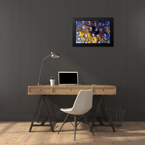 Arrowleaf balsamroot reflected in water drops Black Modern Wood Framed Art Print by Kirkland, Dennis
