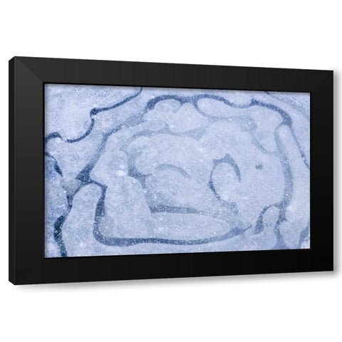 Patterns in a frozen puddle Black Modern Wood Framed Art Print by Paulson, Don